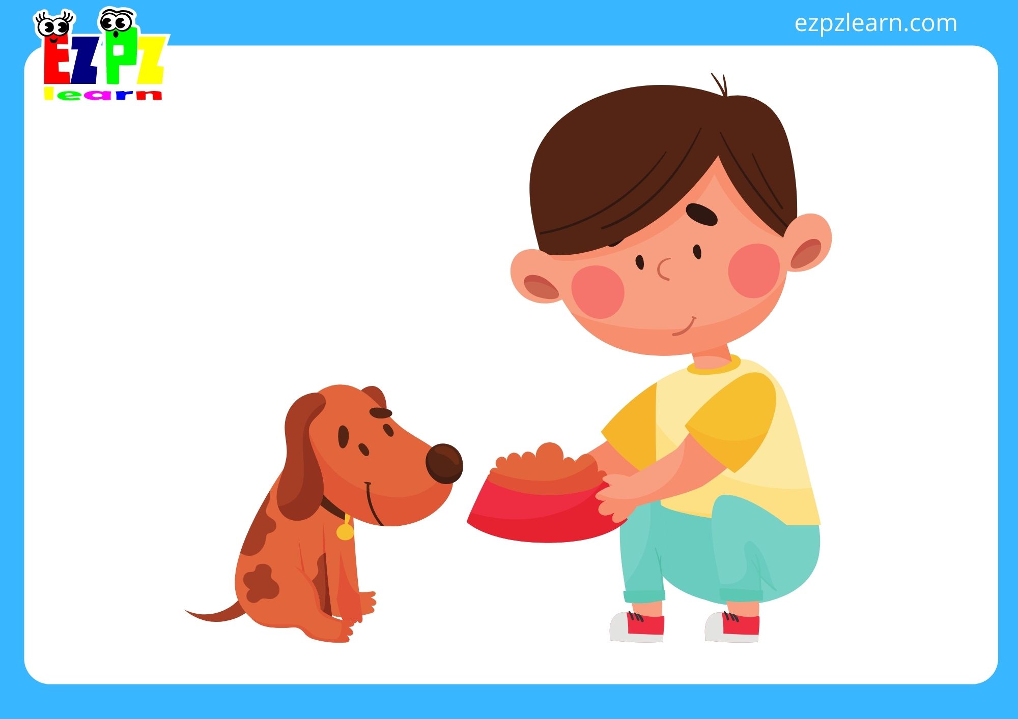 feed the dog